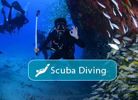 Scuba Diving in Halkidiki