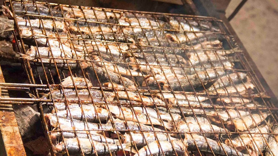 Feast of Sardines