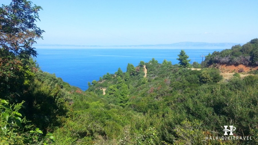 Akti Zografou Beach