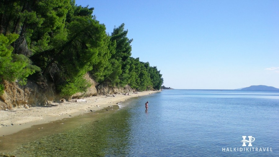 Halkidiki Elia Nikitis