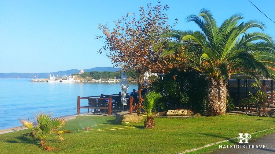 Nea Rhoda Chalkidiki