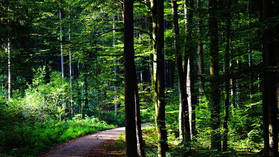 Hiking in Halkidiki